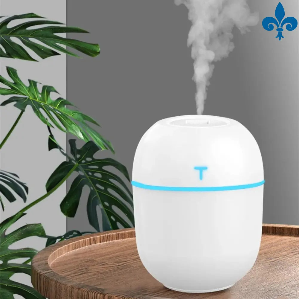 Mini Umidificador Air Freshener Portátil Atene